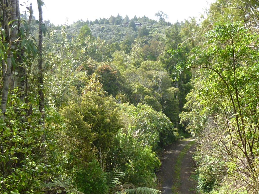 Villa Fern Ridge Hideaway Victoria Valley Exterior foto